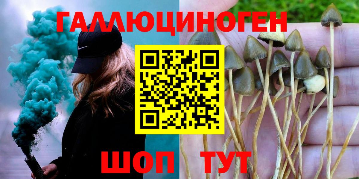 Псилоцибиновые грибы Cubensis Майский