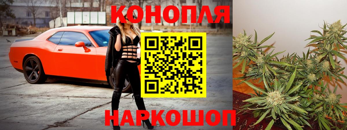 Бошки Шишки сатива Майский